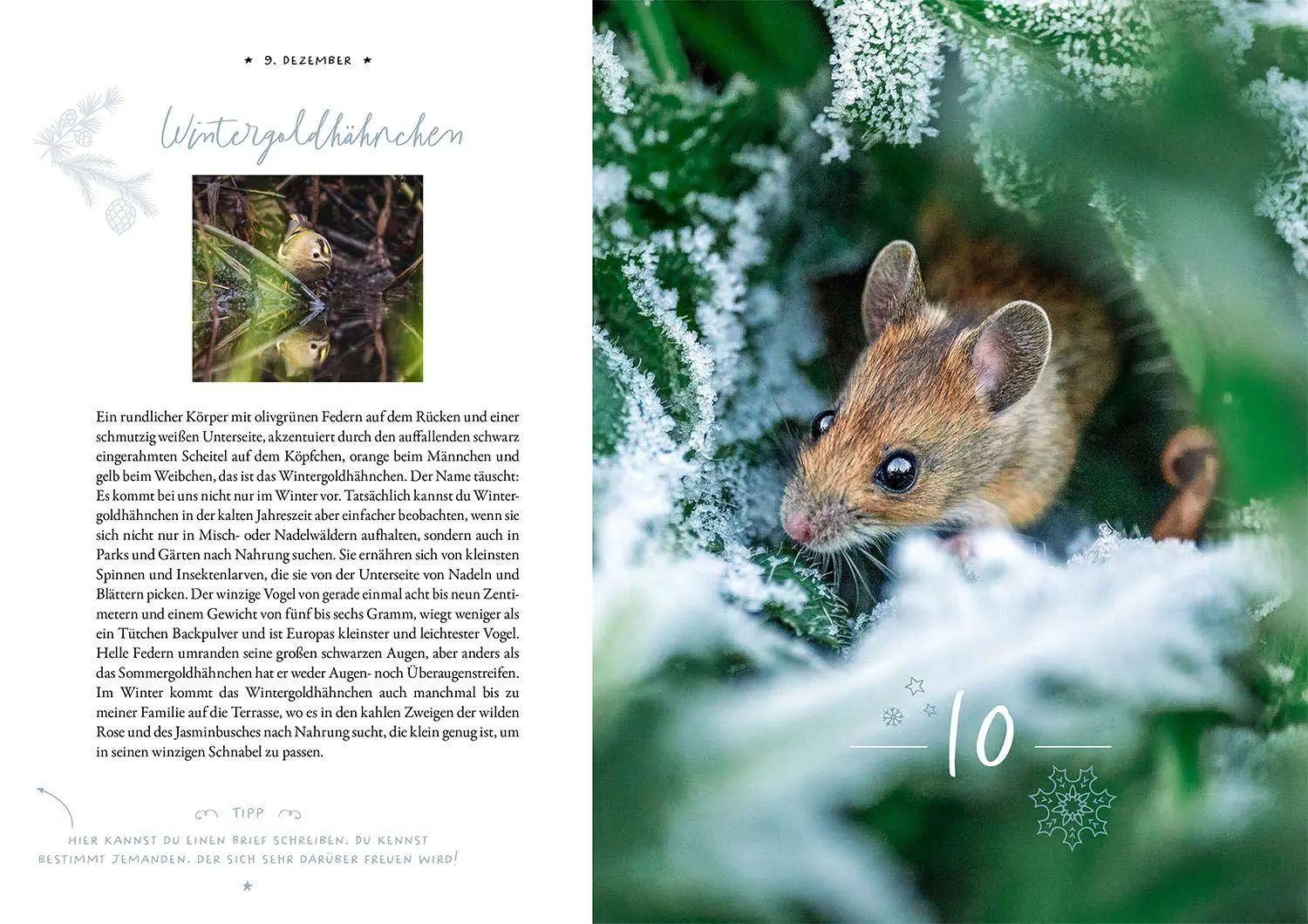 Bild: 9783440183359 | Winter Moments in Nature - der Adventskalender | López (u. a.) | Buch