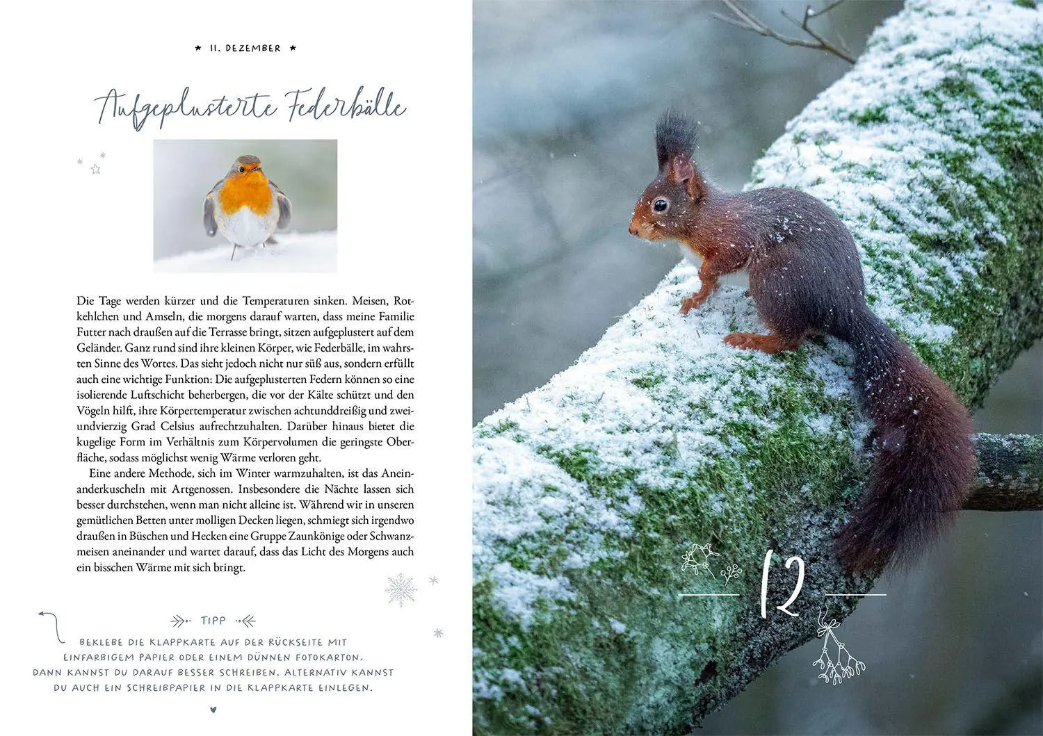 Bild: 9783440183359 | Winter Moments in Nature - der Adventskalender | López (u. a.) | Buch