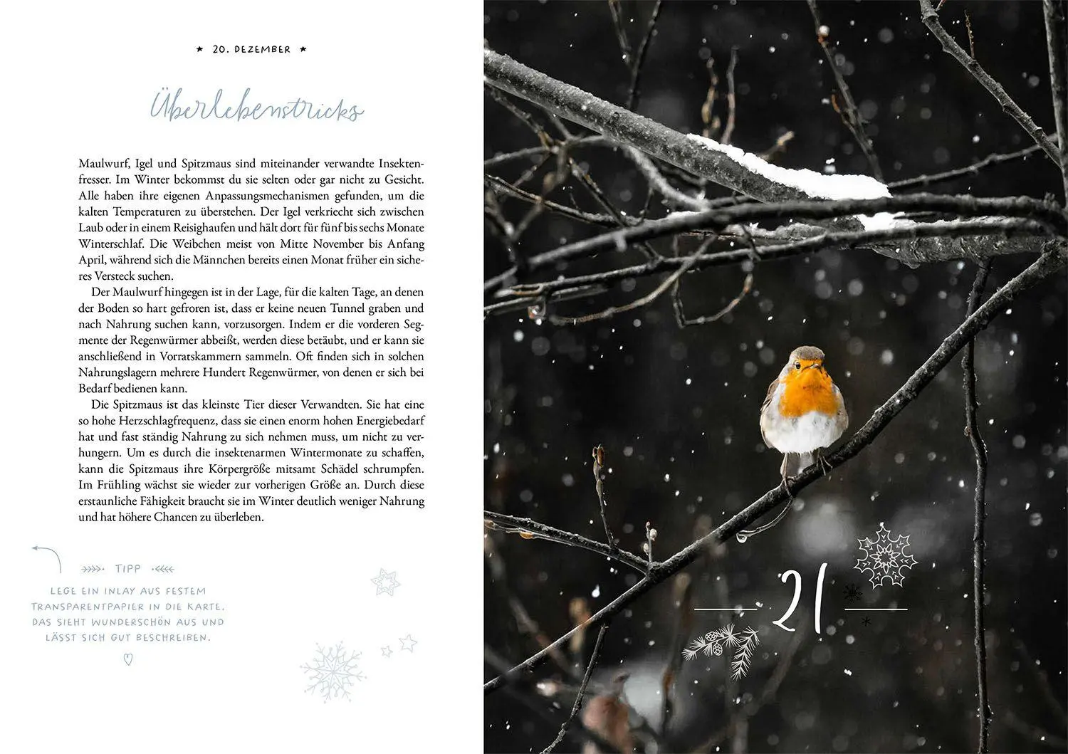Bild: 9783440183359 | Winter Moments in Nature - der Adventskalender | López (u. a.) | Buch