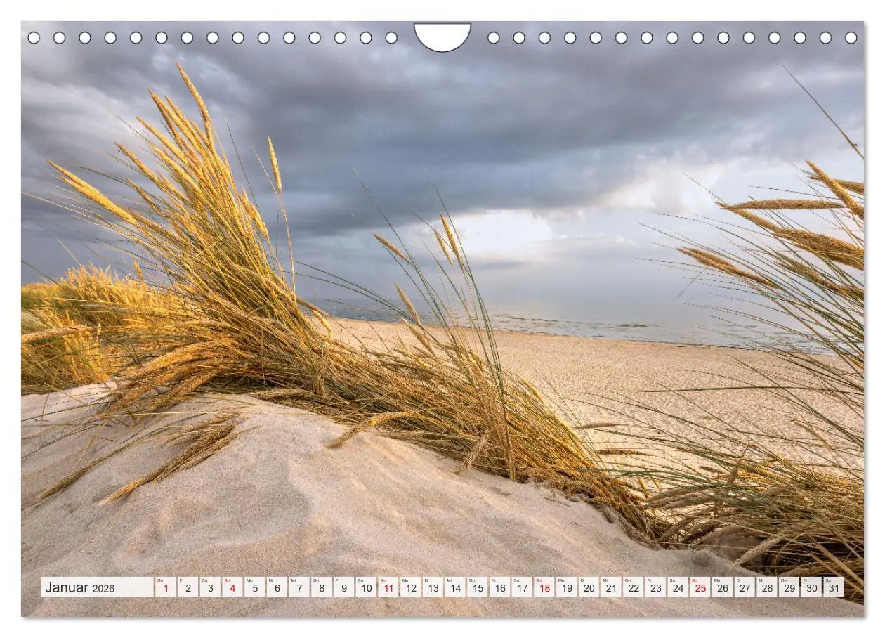 Bild: 9783457563359 | Blåvand - Dänemarks Paradies am Nordseestrand (Wandkalender 2026...
