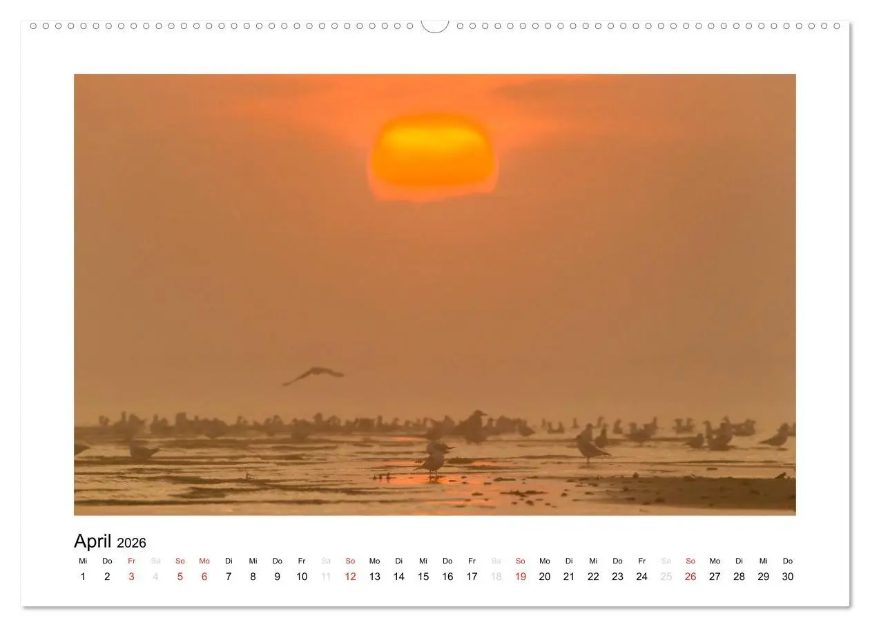 Bild: 9783516103359 | FEHMARN - Magische Momente (Wandkalender 2026 DIN A2 quer),...