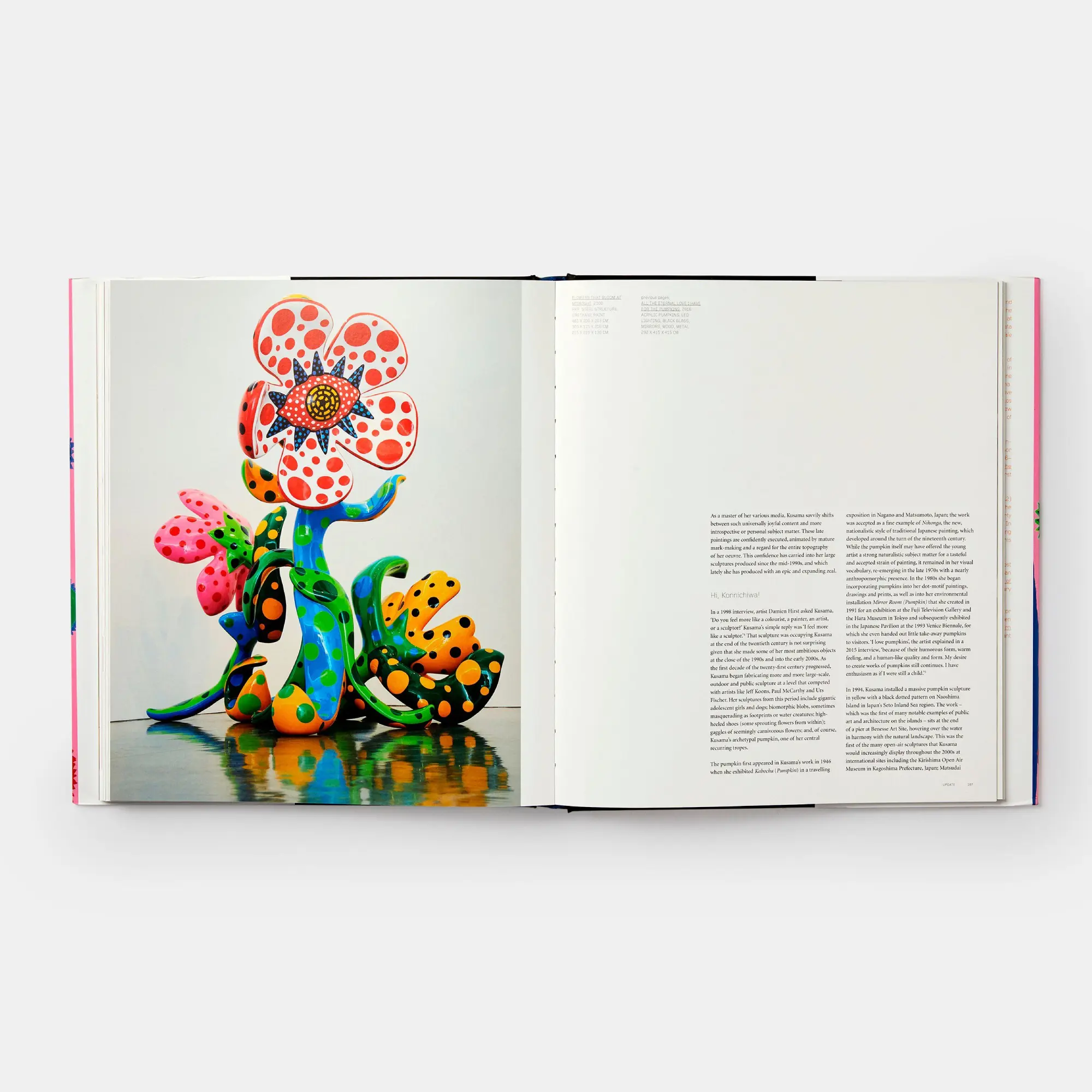 Bild: 9780714873459 | Yayoi Kusama | Revised &amp; Expanded Edition | Akira Tatehata (u. a.)