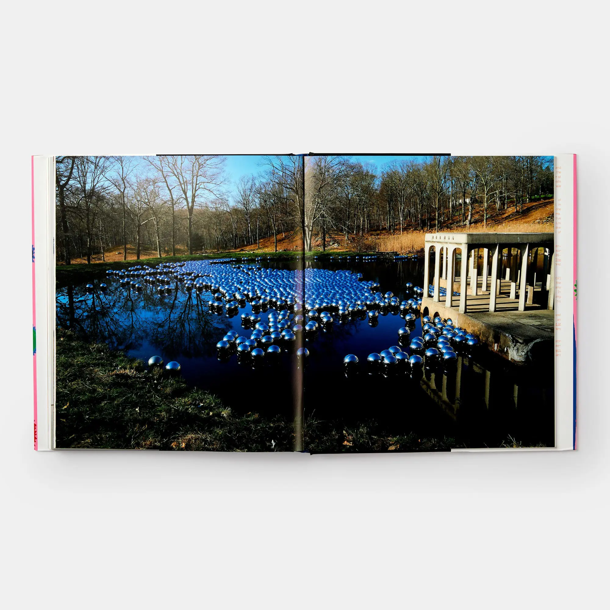 Bild: 9780714873459 | Yayoi Kusama | Revised &amp; Expanded Edition | Akira Tatehata (u. a.)