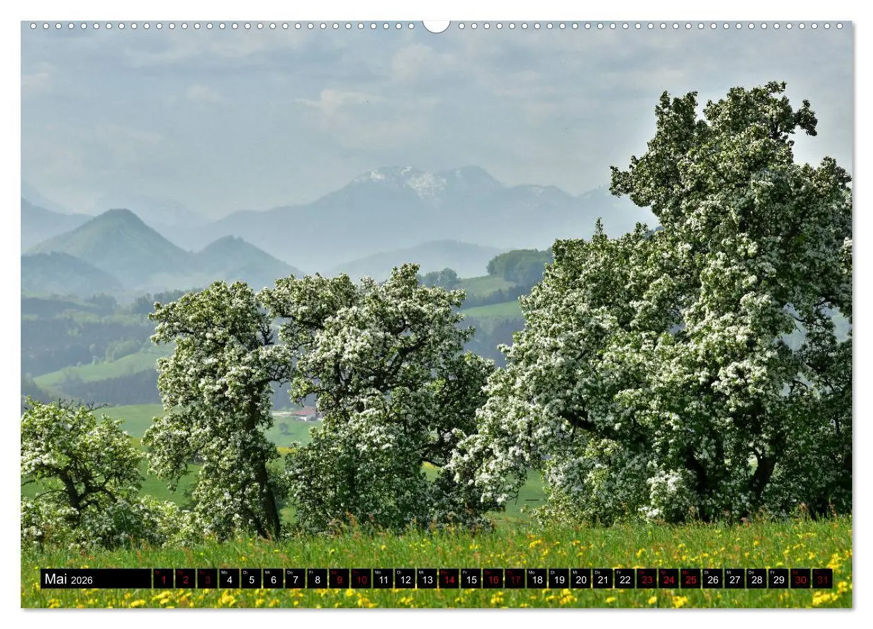 Bild: 9783457933459 | Frühling im Mostviertel (Wandkalender 2026 DIN A2 quer), CALVENDO...