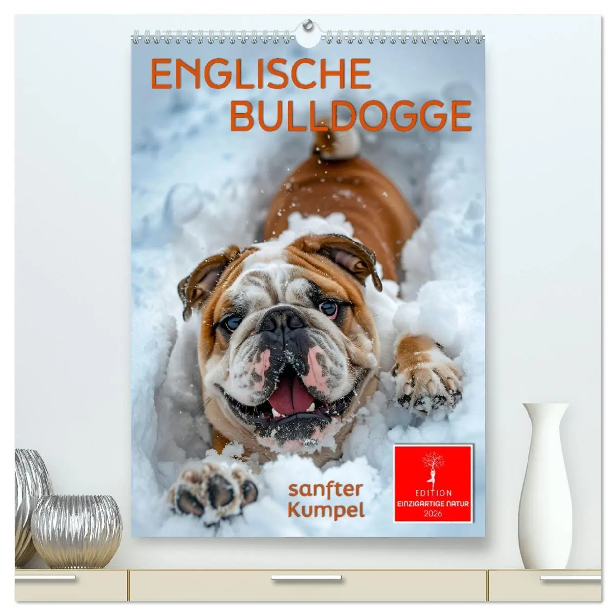 Cover: 9783516253559 | Englische Bulldogge - sanfter Kumpel (hochwertiger Premium...