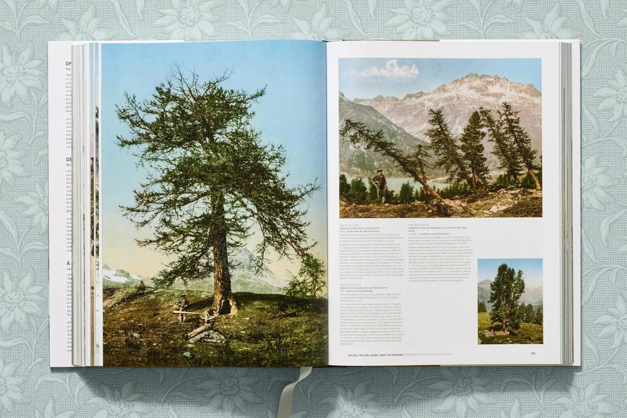 Bild: 9783836573559 | The Alps 1900. A Portrait in Color | Agnès Couzy | Buch | 600 S.