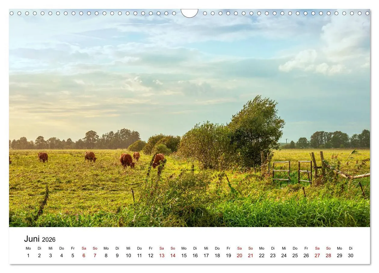 Bild: 9783457773659 | Unterwegs im Spreewald (Wandkalender 2026 DIN A3 quer), CALVENDO...