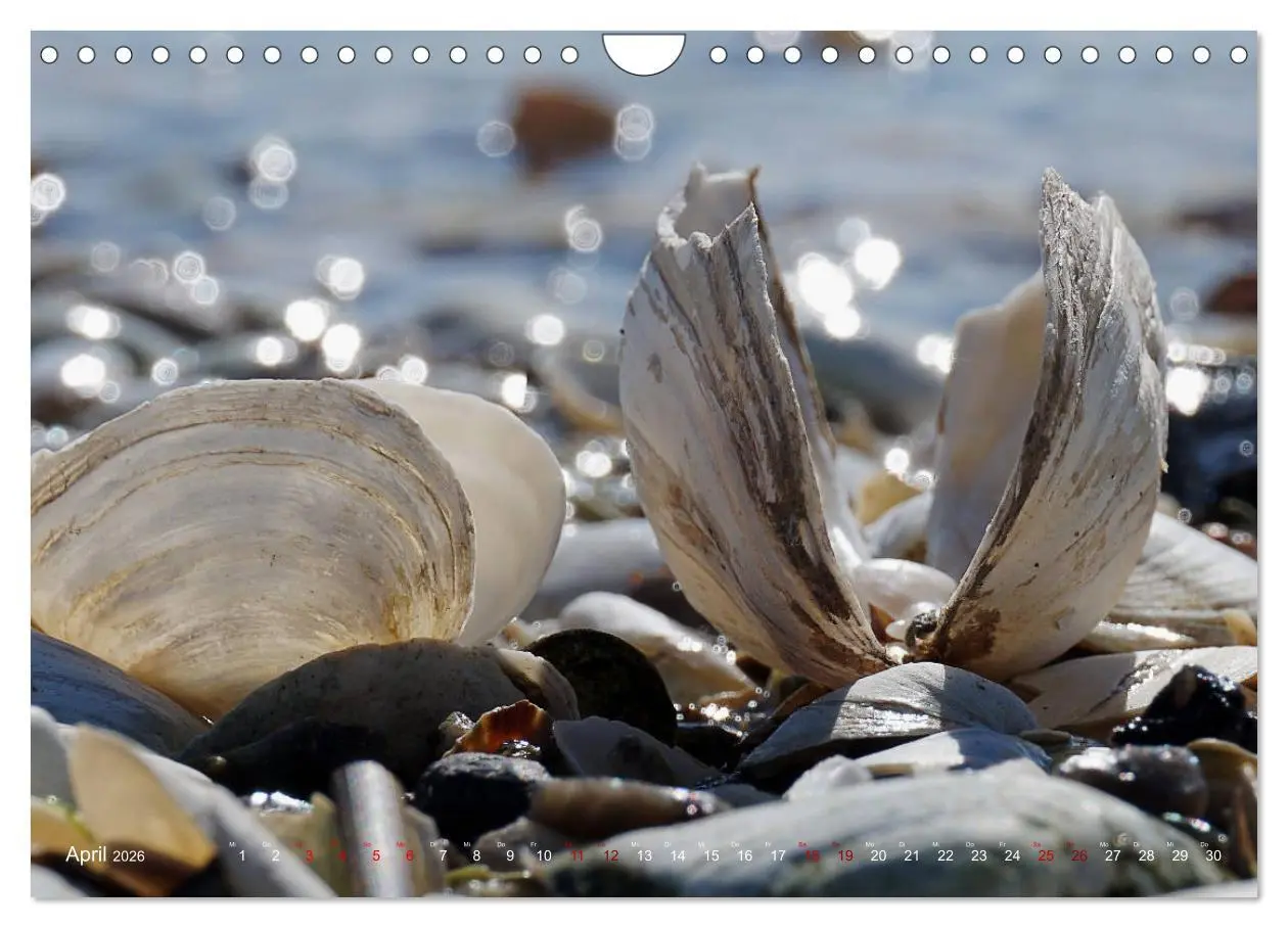 Bild: 9783457843659 | Kappeln und Angeln - Zwischen Ostsee und Schlei (Wandkalender 2026...