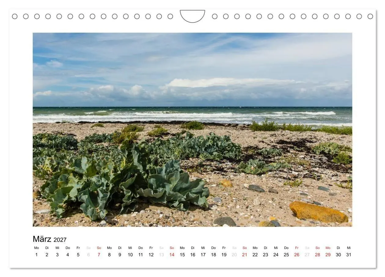 Bild: 9783594083659 | FEHMARN - Magische Momente (Wandkalender 2027 DIN A4 quer),...