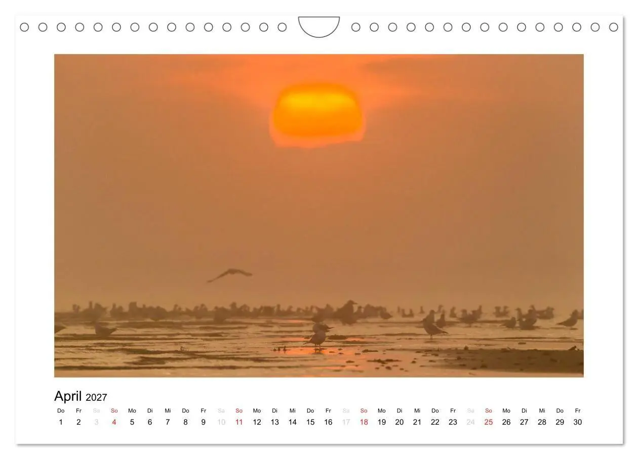 Bild: 9783594083659 | FEHMARN - Magische Momente (Wandkalender 2027 DIN A4 quer),...