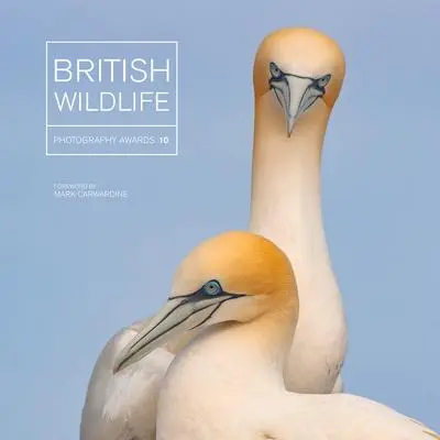 Cover: 9781781453759 | British Wildlife Photography Awards 10 | Maggie Gowan | Buch | 2020