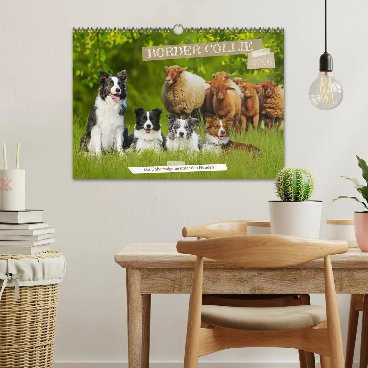 Bild: 9783457383759 | Border Collie - Das Universalgenie unter den Hunden (Wandkalender...