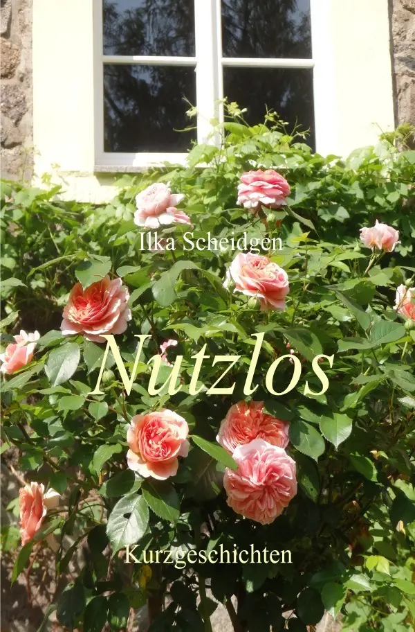 Cover: 9783745093759 | Nutzlos | Kurzgeschichten | Ilka Scheidgen | Taschenbuch | 184 S.