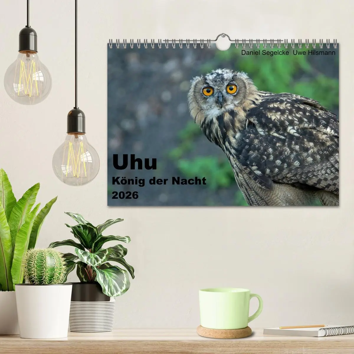 Bild: 9783516153859 | Uhu - König der Nacht (Wandkalender 2026 DIN A4 quer), CALVENDO...