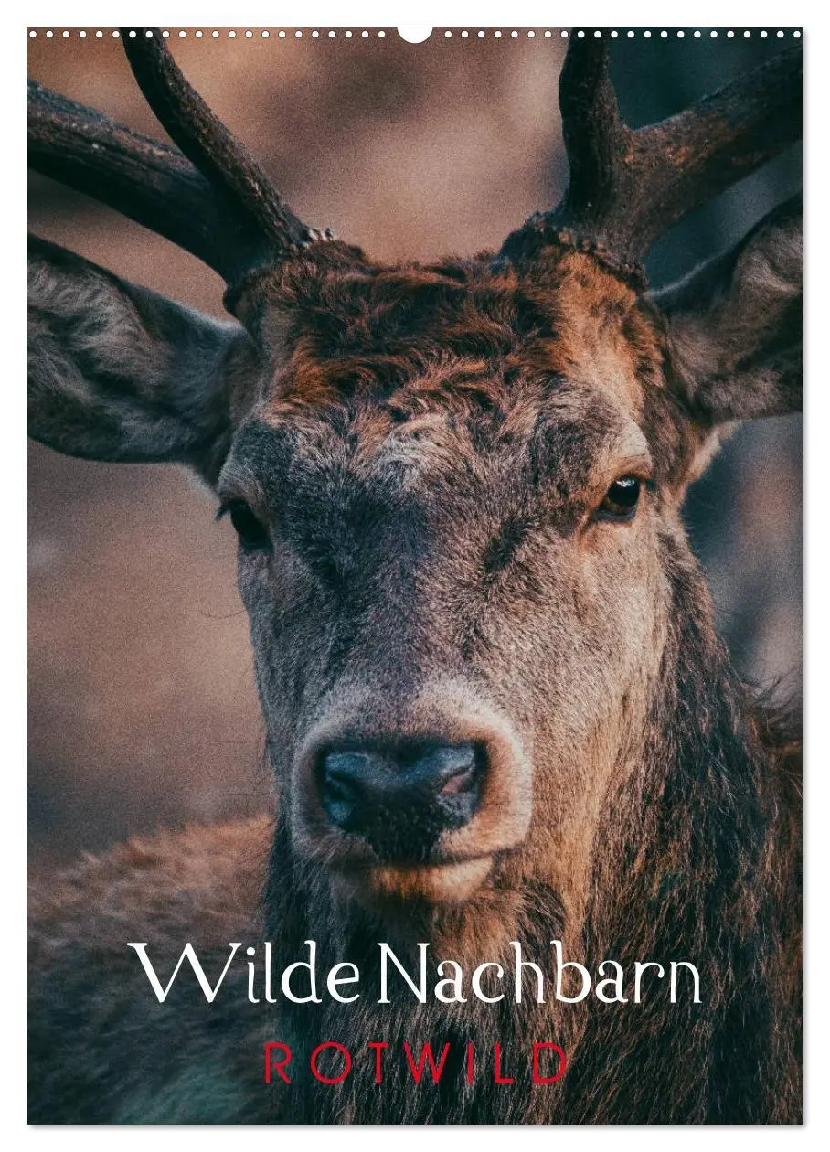 Cover: 9783516393859 | Wilde Nachbarn: Rotwild (Wandkalender 2026 DIN A2 hoch), CALVENDO...