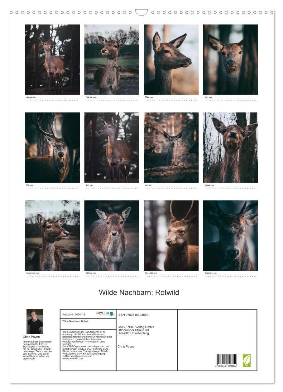 Bild: 9783516393859 | Wilde Nachbarn: Rotwild (Wandkalender 2026 DIN A2 hoch), CALVENDO...
