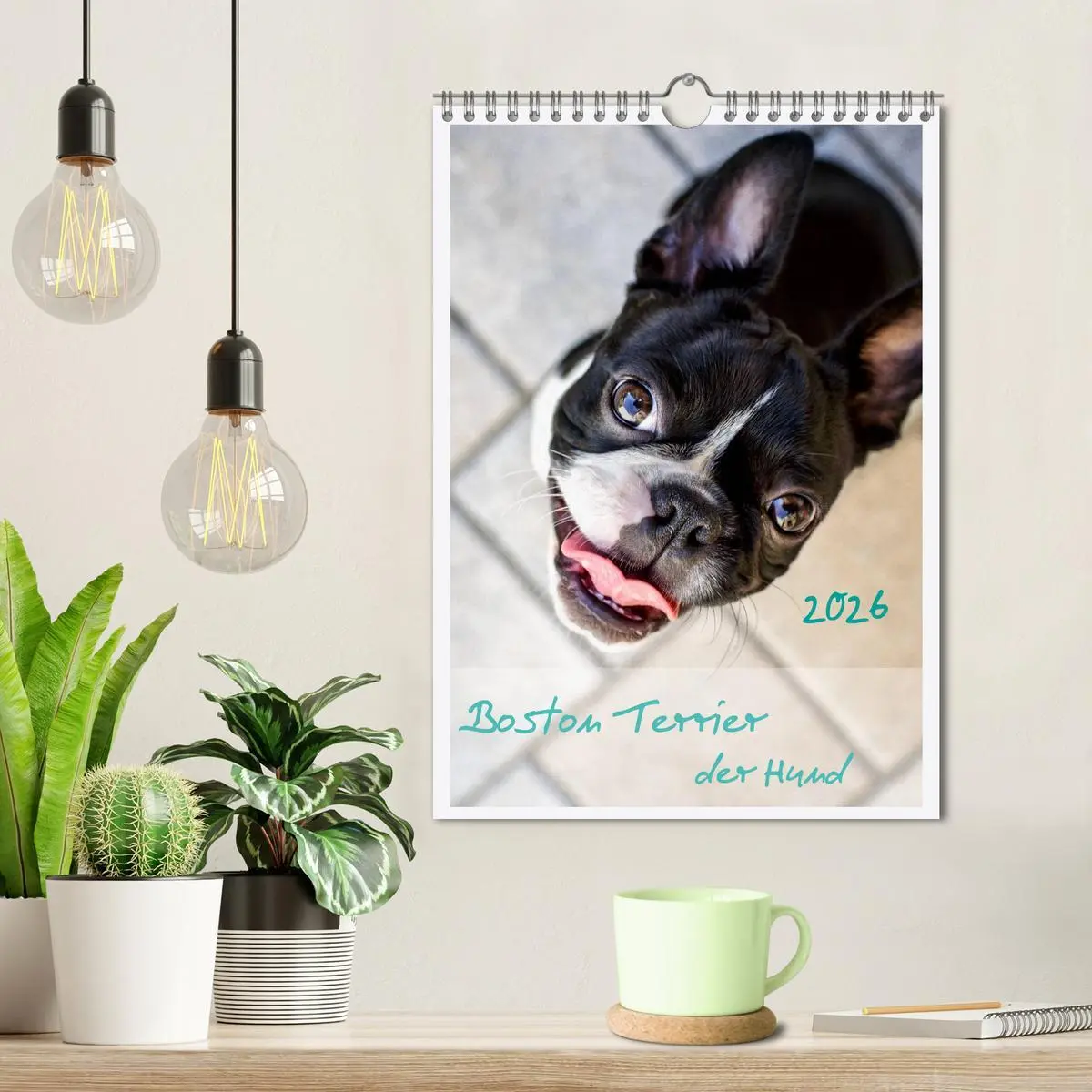 Bild: 9783516453959 | Boston Terrier der Hund 2026 (Wandkalender 2026 DIN A4 hoch),...