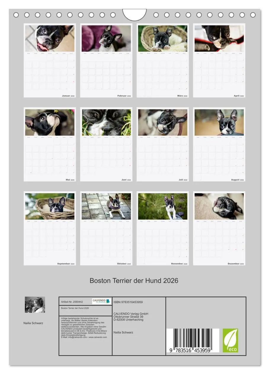 Bild: 9783516453959 | Boston Terrier der Hund 2026 (Wandkalender 2026 DIN A4 hoch),...