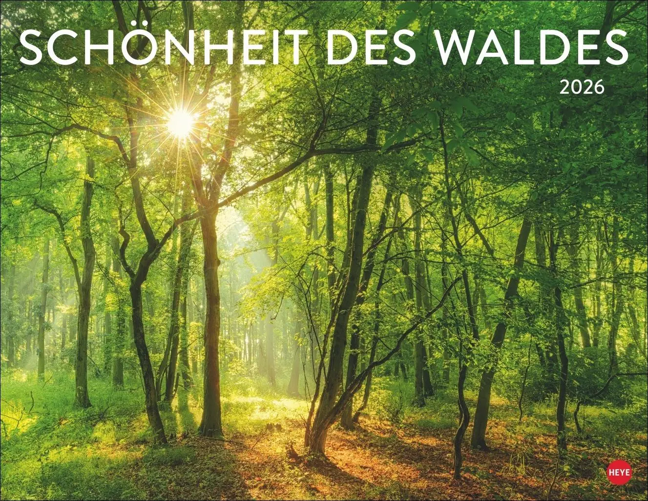 Cover: 9783756413959 | Schönheit des Waldes Posterkalender 2026 | Kalender | 14 S. | Deutsch