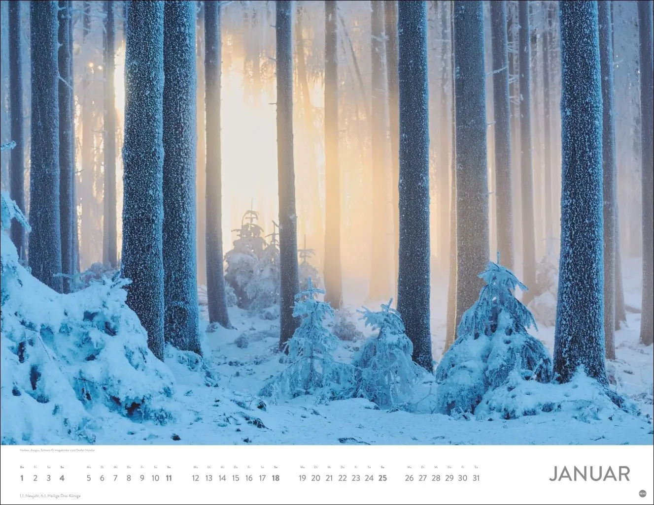 Bild: 9783756413959 | Schönheit des Waldes Posterkalender 2026 | Kalender | 14 S. | Deutsch