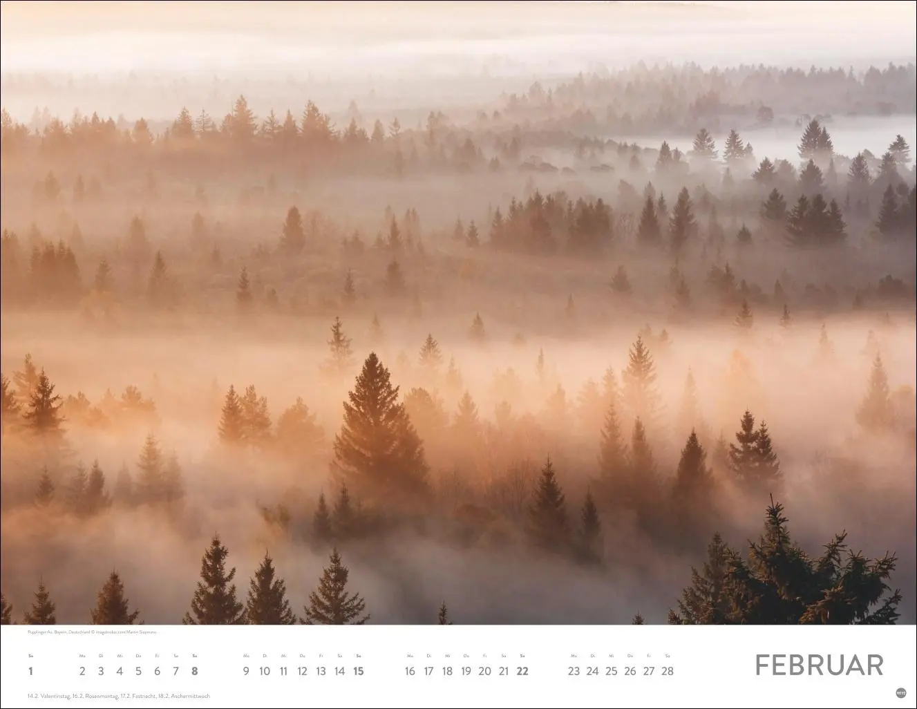 Bild: 9783756413959 | Schönheit des Waldes Posterkalender 2026 | Kalender | 14 S. | Deutsch