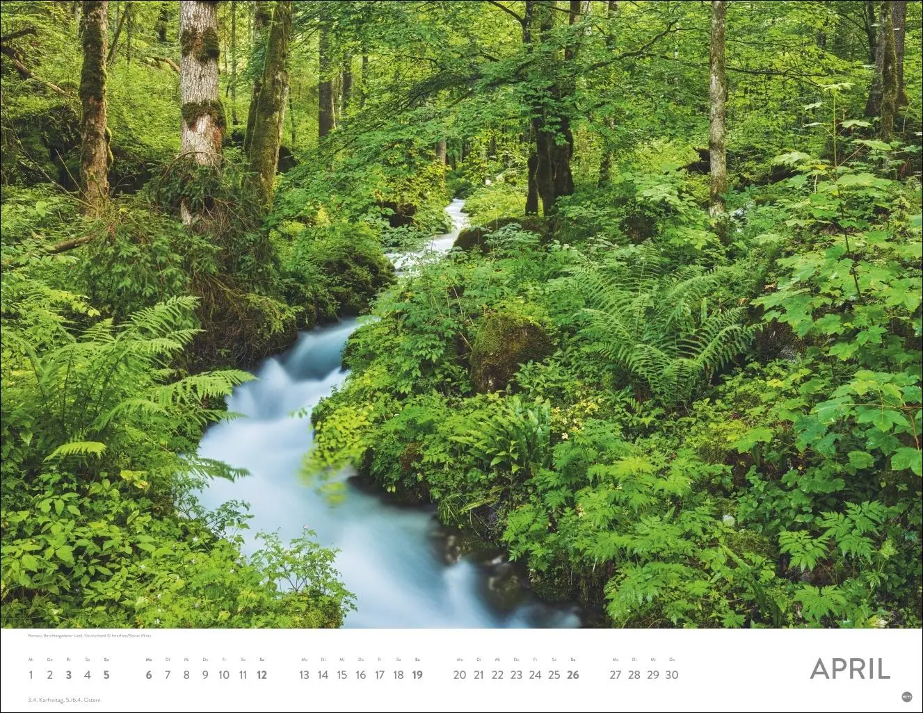 Bild: 9783756413959 | Schönheit des Waldes Posterkalender 2026 | Kalender | 14 S. | Deutsch