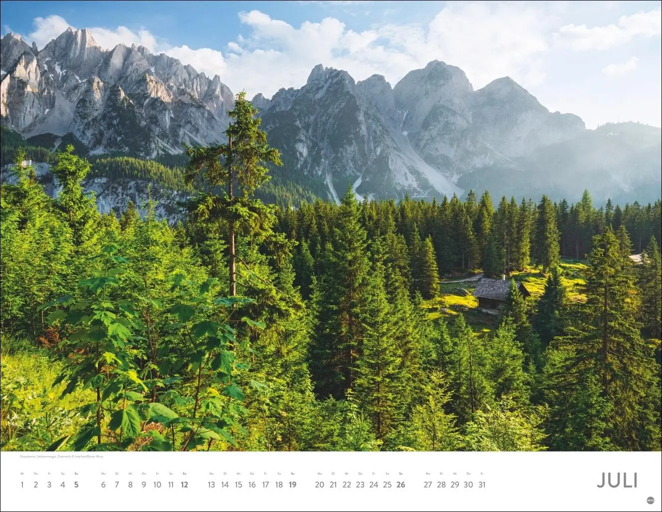 Bild: 9783756413959 | Schönheit des Waldes Posterkalender 2026 | Kalender | 14 S. | Deutsch