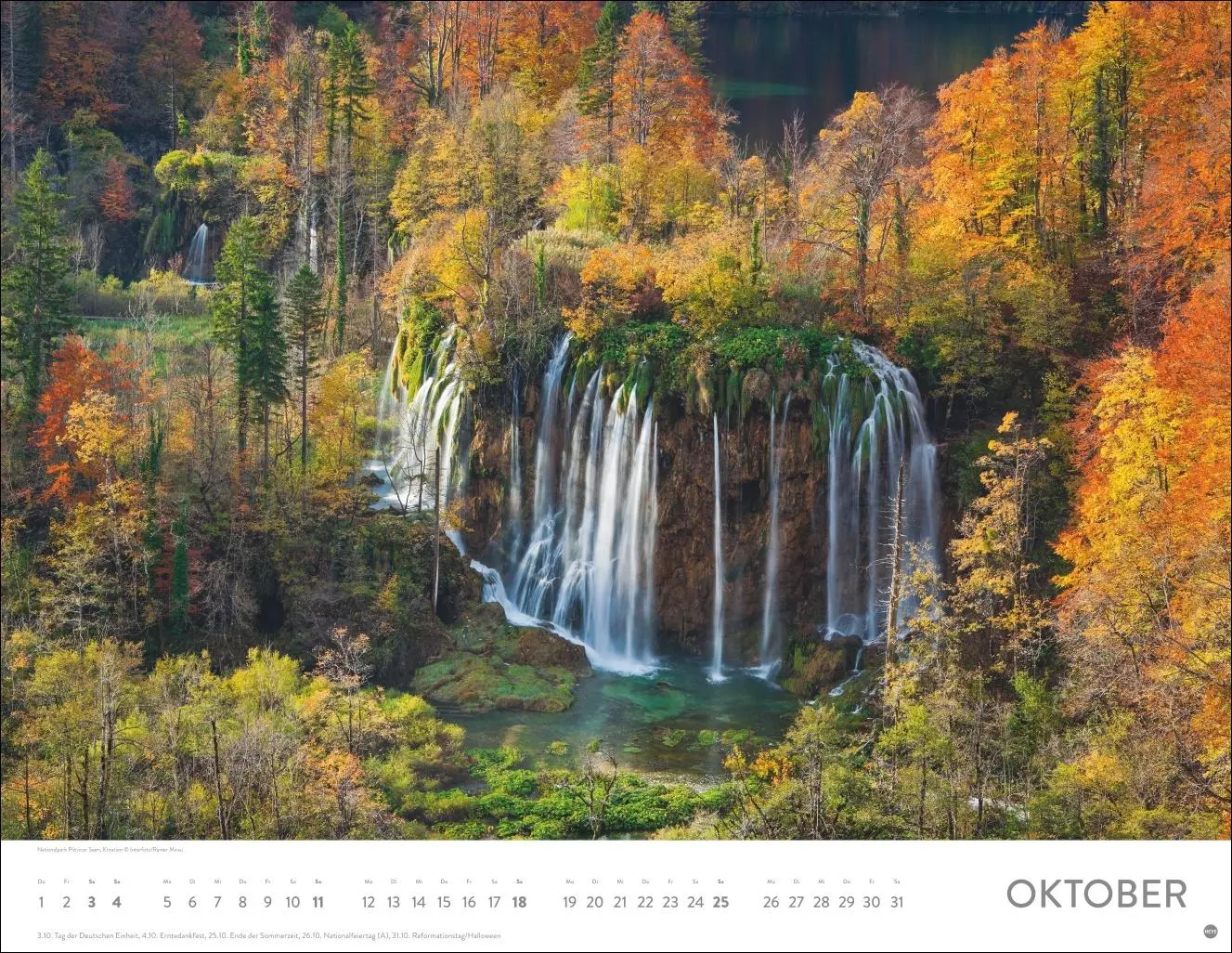 Bild: 9783756413959 | Schönheit des Waldes Posterkalender 2026 | Kalender | 14 S. | Deutsch