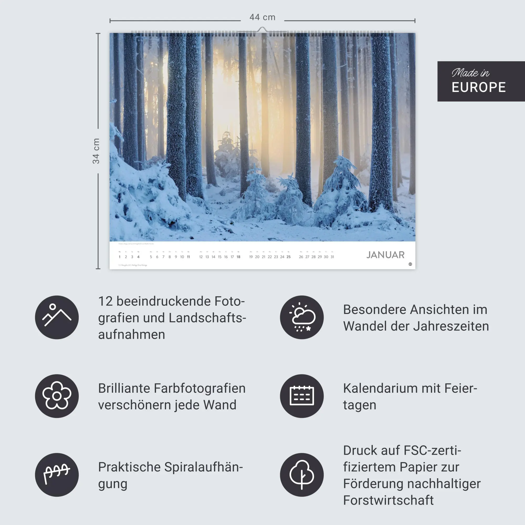Bild: 9783756413959 | Schönheit des Waldes Posterkalender 2026 | Kalender | 14 S. | Deutsch