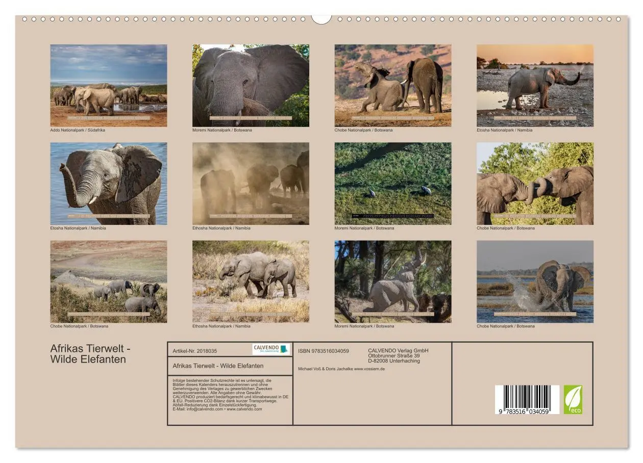 Bild: 9783516034059 | Afrikas Tierwelt - Wilde Elefanten (hochwertiger Premium...