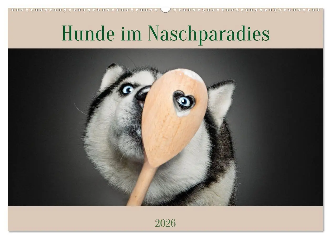 Cover: 9783516724059 | Hunde im Naschparadies (Wandkalender 2026 DIN A2 quer), CALVENDO...