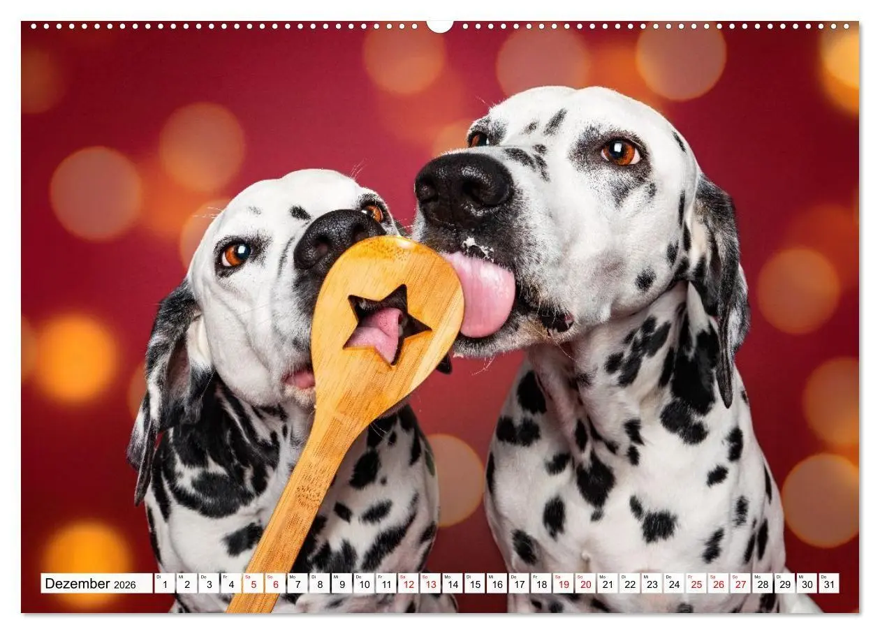 Bild: 9783516724059 | Hunde im Naschparadies (Wandkalender 2026 DIN A2 quer), CALVENDO...