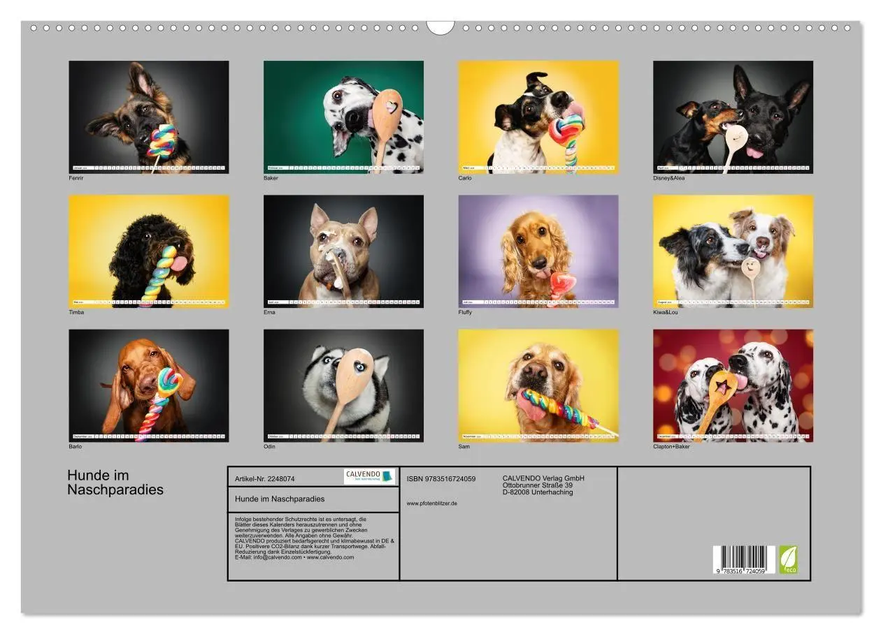 Bild: 9783516724059 | Hunde im Naschparadies (Wandkalender 2026 DIN A2 quer), CALVENDO...