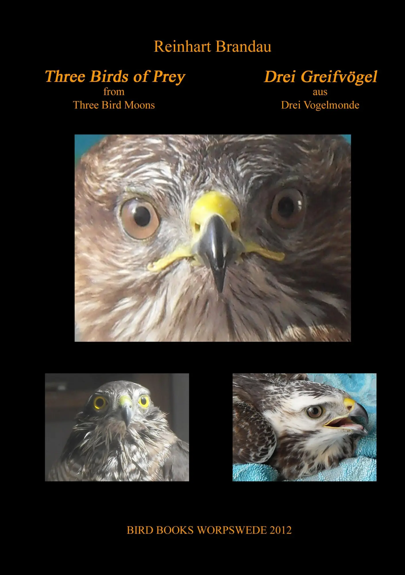Cover: 9783732234059 | Three Birds of Prey - Drei Greifvögel | Reinhart Brandau | Taschenbuch