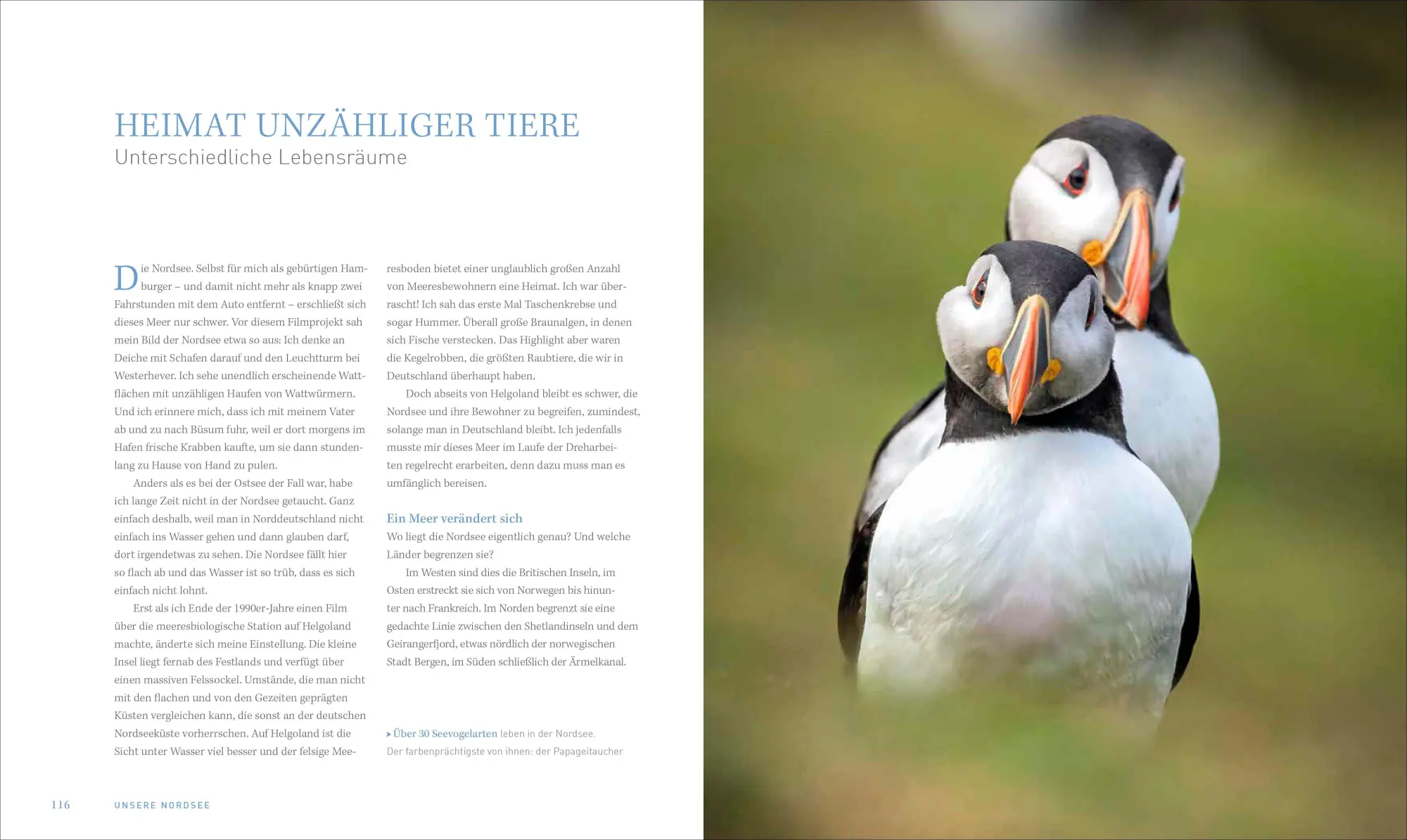 Bild: 9783954164059 | Bildband - Unsere Meere | Thomas Behrend | Buch | 240 S. | Deutsch