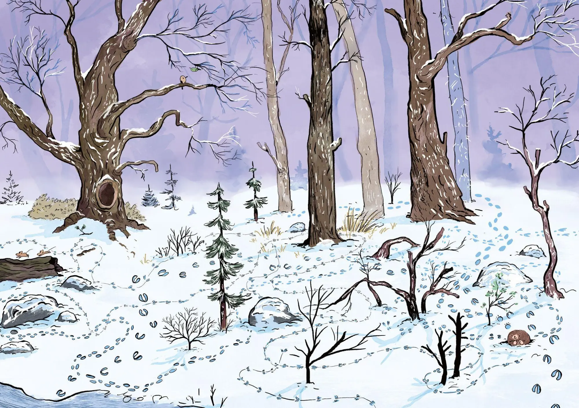 Bild: 9783328304159 | Selmas wundersamer Winter im Tapetenwald | Anu Stohner | Buch | 112 S.