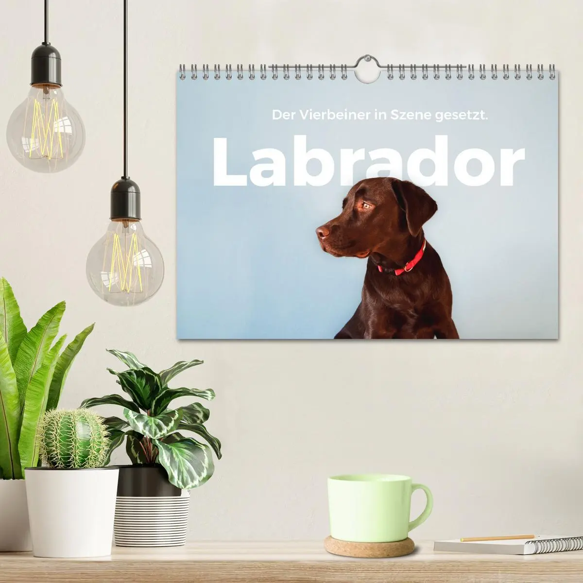 Bild: 9783457554159 | Labrador - Der Vierbeiner in Szene gesetzt. (Wandkalender 2026 DIN...