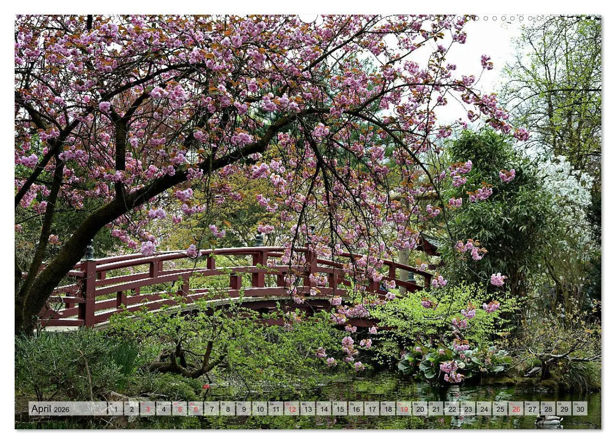 Bild: 9783457794159 | Leverkusen Hitdorf Wiesdorf Opladen (Wandkalender 2026 DIN A2...