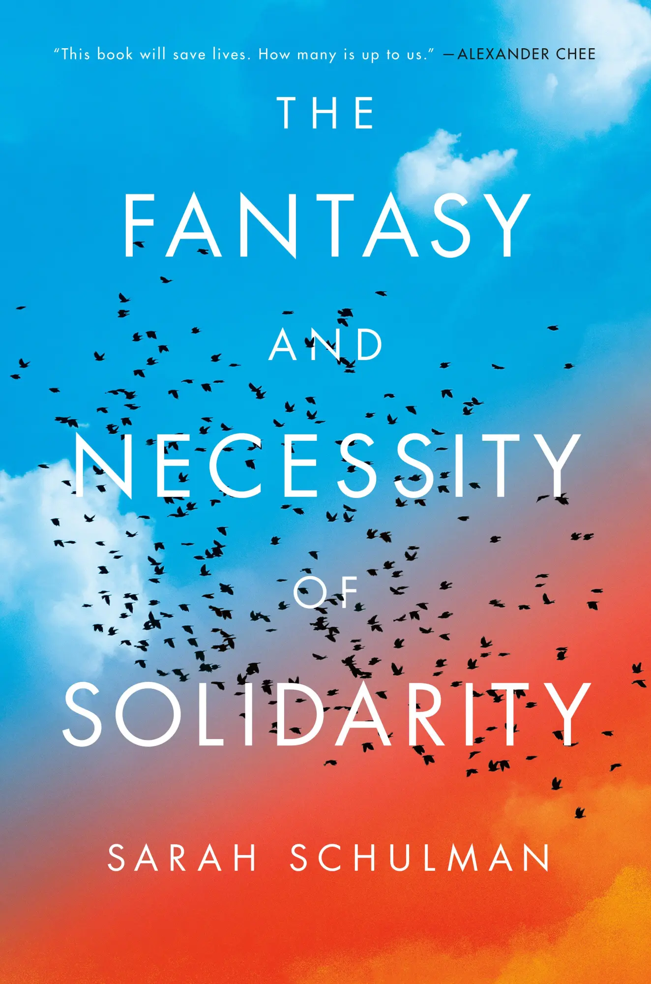 Cover: 9780593854259 | The Fantasy and Necessity of Solidarity | Sarah Schulman | Buch | 2025