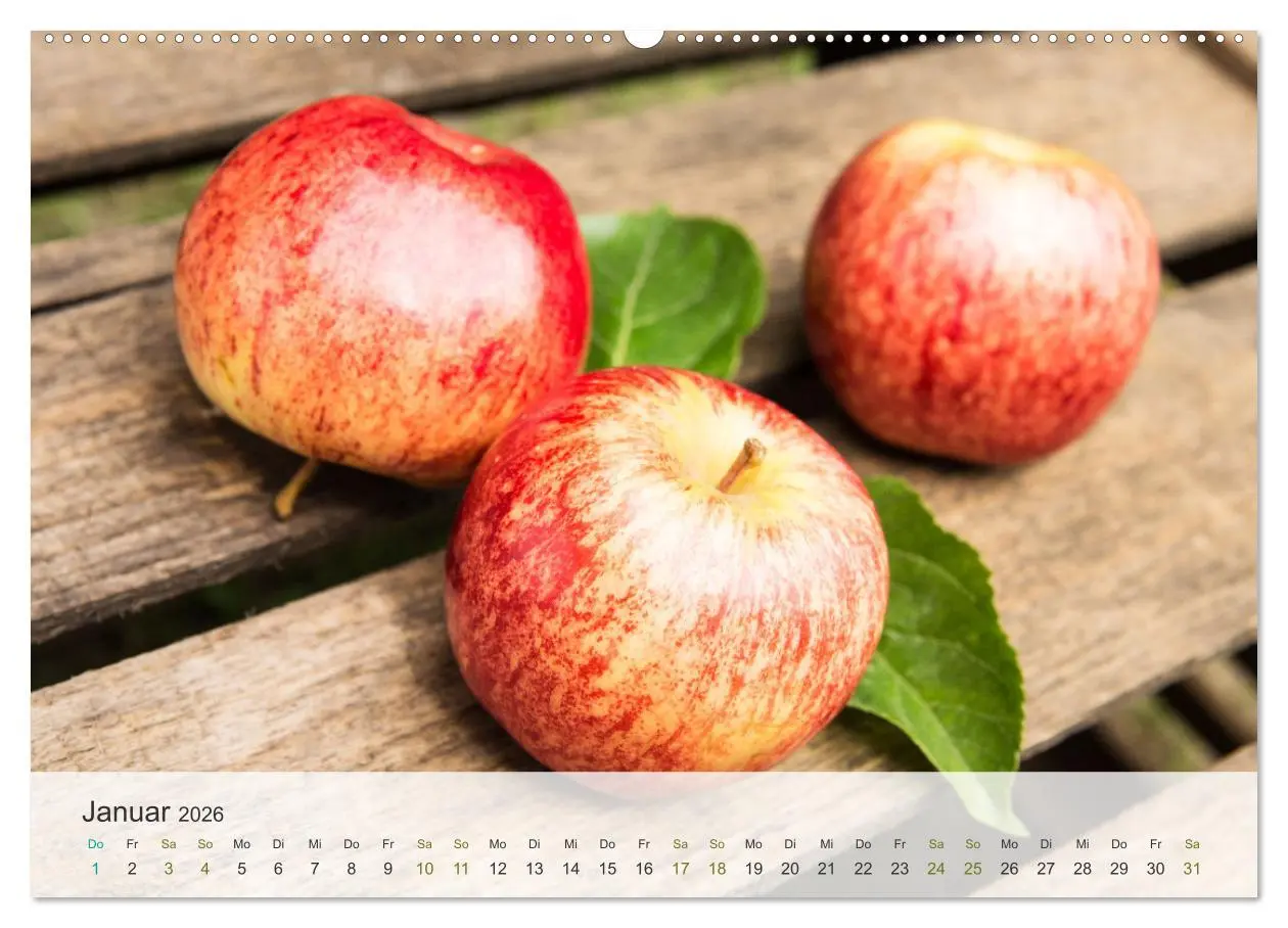 Bild: 9783457304259 | ApfelZEIT - Natürlich köstlich (hochwertiger Premium Wandkalender...