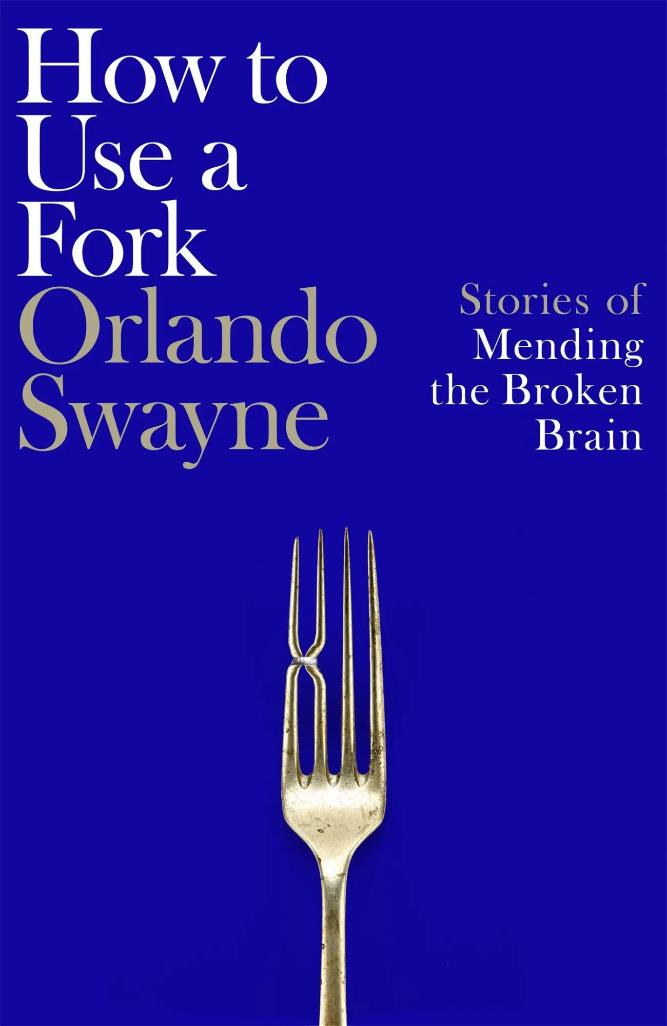 Cover: 9781035064359 | How to Use a Fork | Stories of Mending the Broken Brain | Swayne