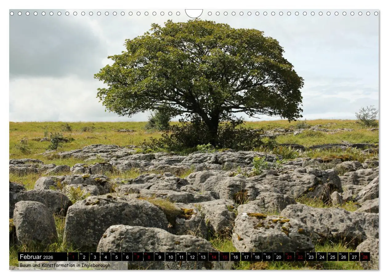 Bild: 9783457774359 | Traumhafte Yorkshire Dales (Wandkalender 2026 DIN A3 quer),...