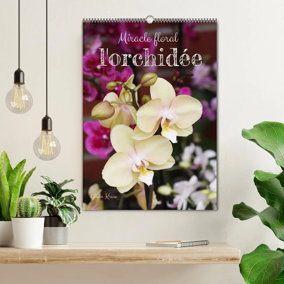 Bild: 9783516544459 | Miracle floral l'orchidée (Calendrier mural 2026 DIN A2...