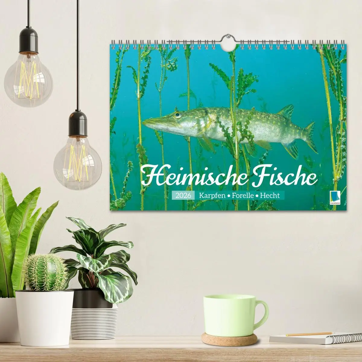 Bild: 9783516614459 | Heimische Fische: Karpfen, Forelle, Hecht (Wandkalender 2026 DIN A4...