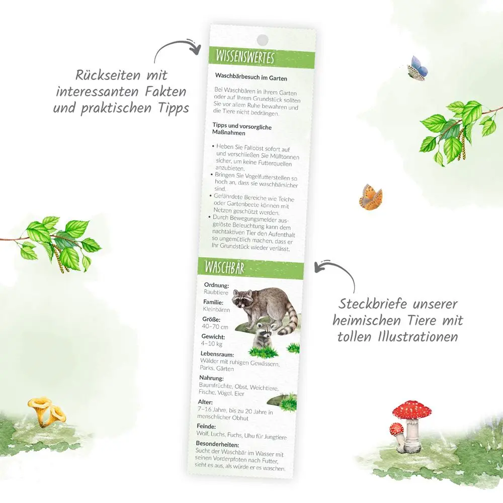 Bild: 9783988024459 | Trötsch Streifenkalender Mini Heimische Tierwelt 2026 | KG | Kalender