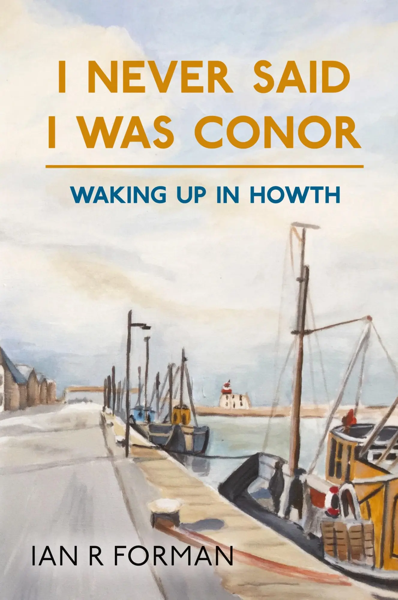 Cover: 9781800314559 | I Never Said I Was Conor | Waking Up in Howth | Ian R Forman | Buch