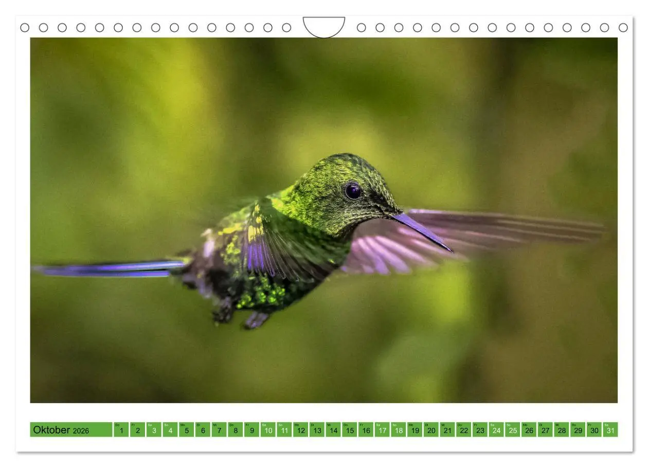 Bild: 9783457374559 | Kolibris; Anmut, Schönheit, Farben (Wandkalender 2026 DIN A4 quer),...