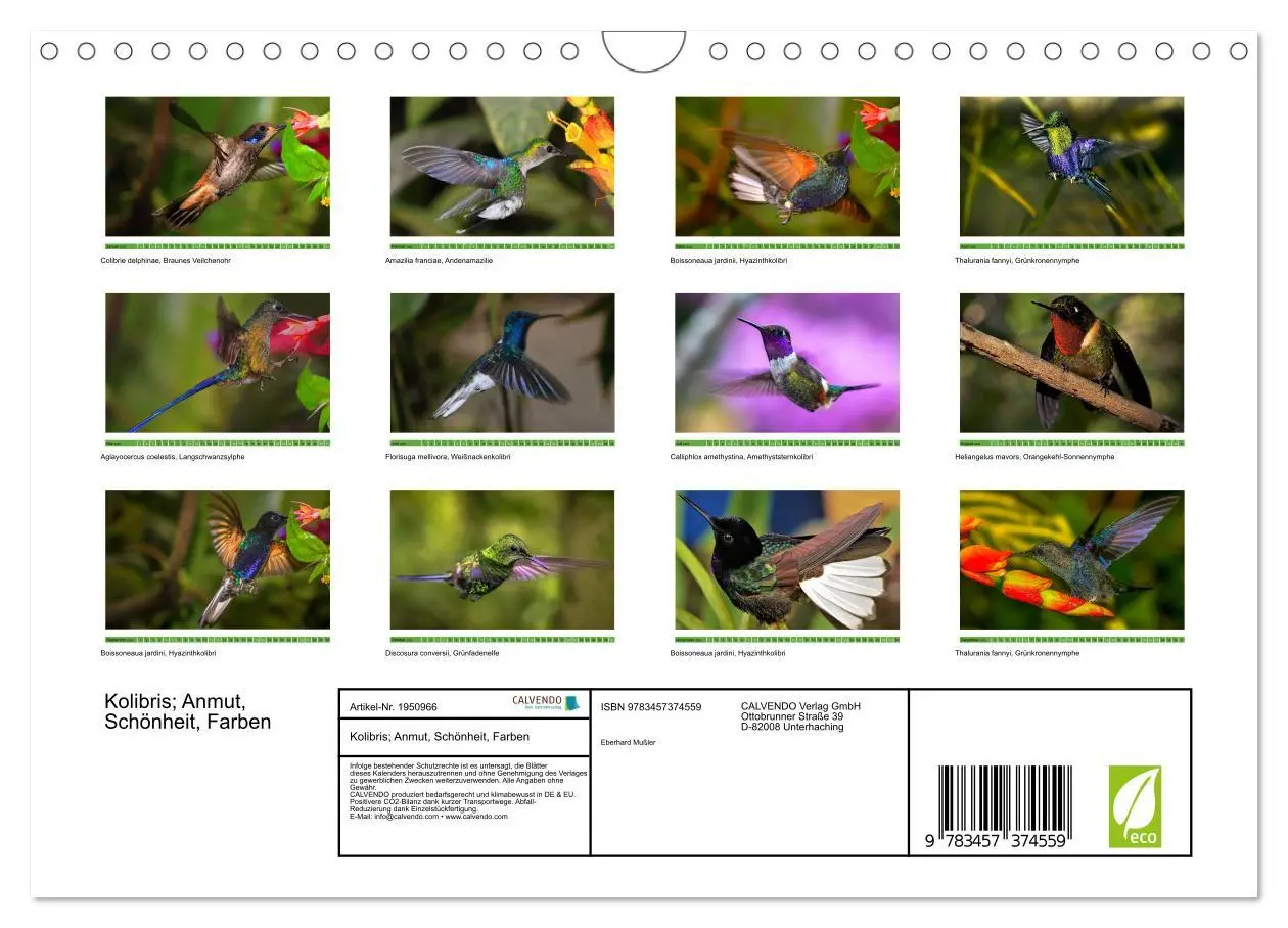 Bild: 9783457374559 | Kolibris; Anmut, Schönheit, Farben (Wandkalender 2026 DIN A4 quer),...
