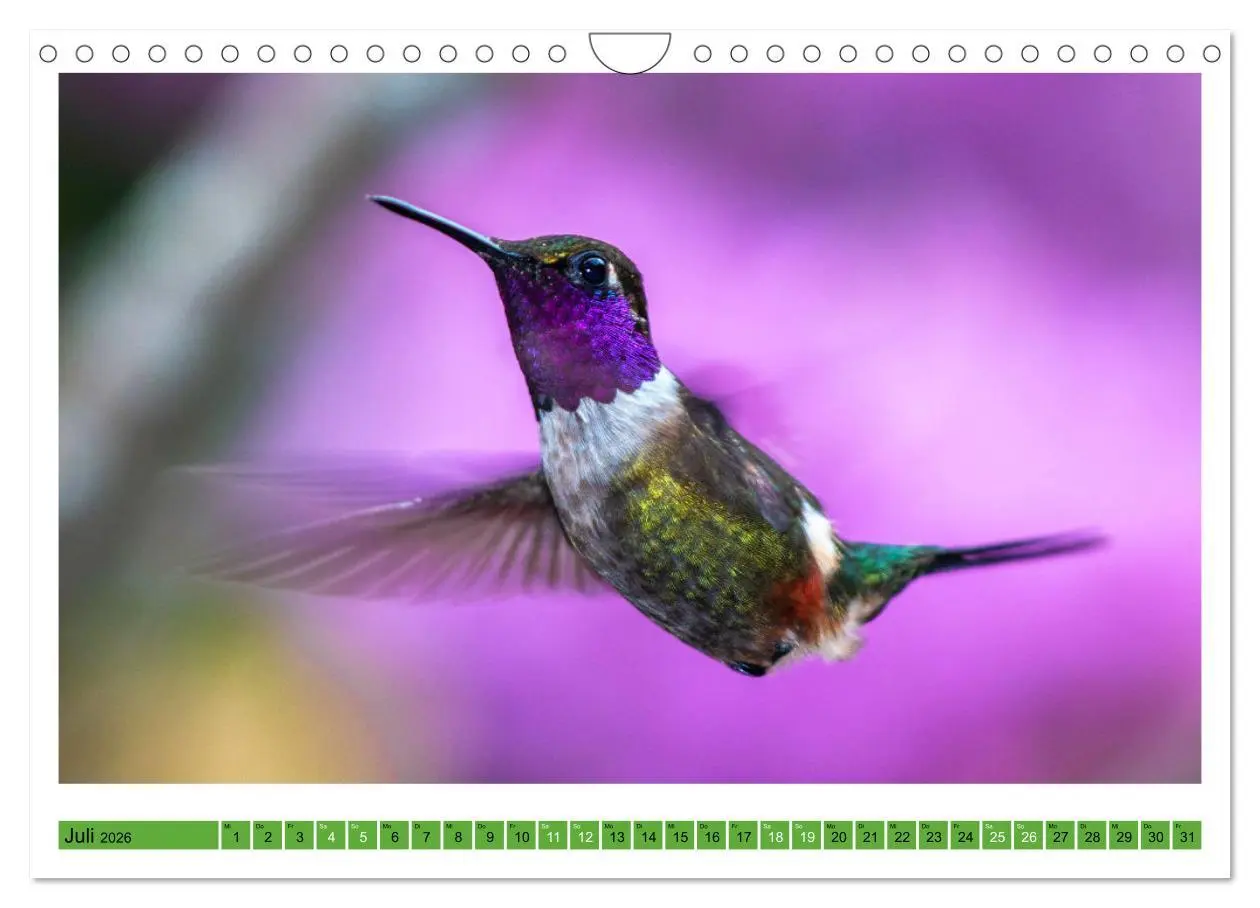Bild: 9783457374559 | Kolibris; Anmut, Schönheit, Farben (Wandkalender 2026 DIN A4 quer),...