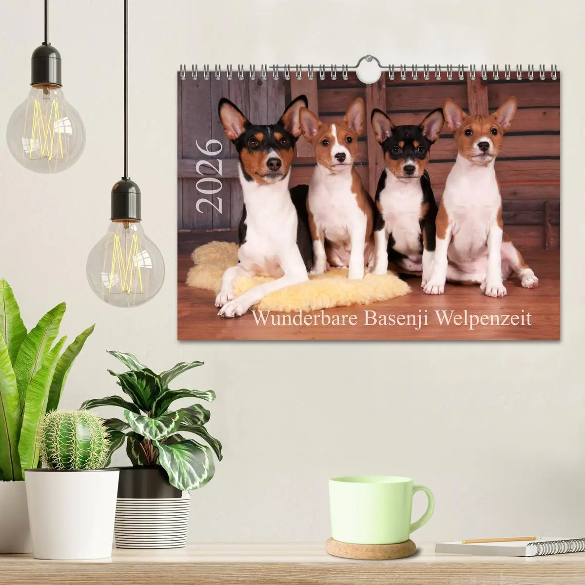 Bild: 9783457824559 | Wunderbare Basenji Welpenzeit (Wandkalender 2026 DIN A4 quer),...